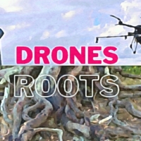 Η ρίζα και το Drone